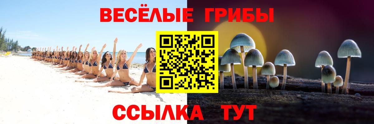 Псилоцибиновые грибы мухоморы  Вход с VPN  Вязники 